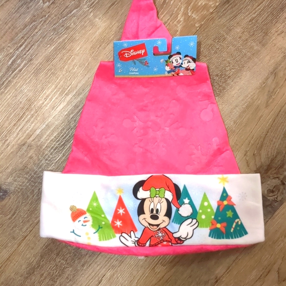 Disney hat